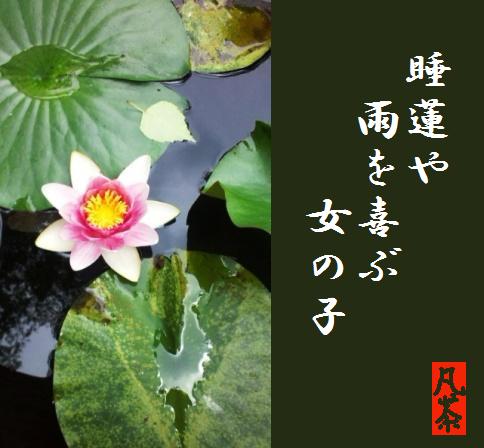 バイバイ グレートバリアリーフ はさみ 夏 の 季語 植物 Horii Jp